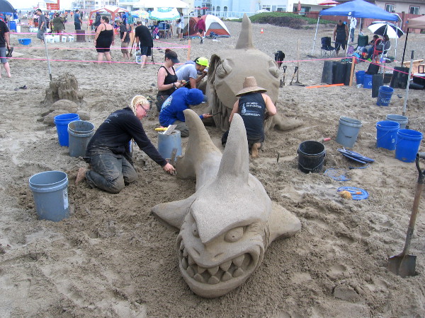 San Diego Sand Castles was skillfully carving toothy land sharks.