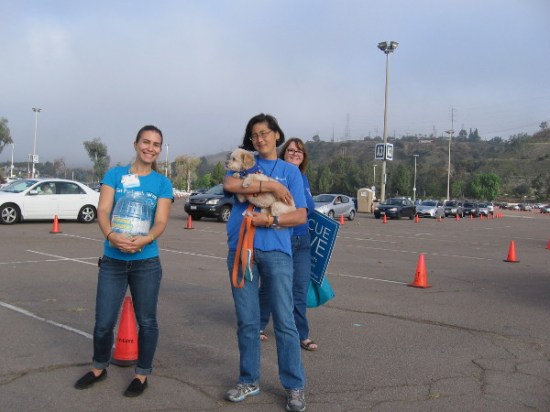 As cars queue, volunteers collect donations for the San Diego Humane Society and SPCA.