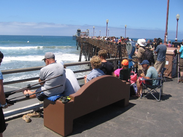 And hundreds are watching from up on the pier, as well.