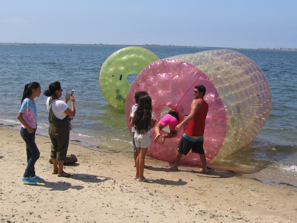 Kid enters an inflatable floating cylinder walk-inside thingy on a narrow beach on San Diego Bay.