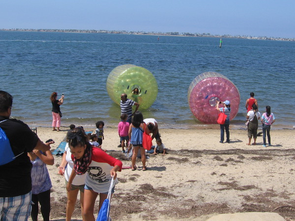 The big annual South Bay event had lots of fun activities on the water, including paddleboarding, kayaking and Seal and Swift Boat tours of the bay.