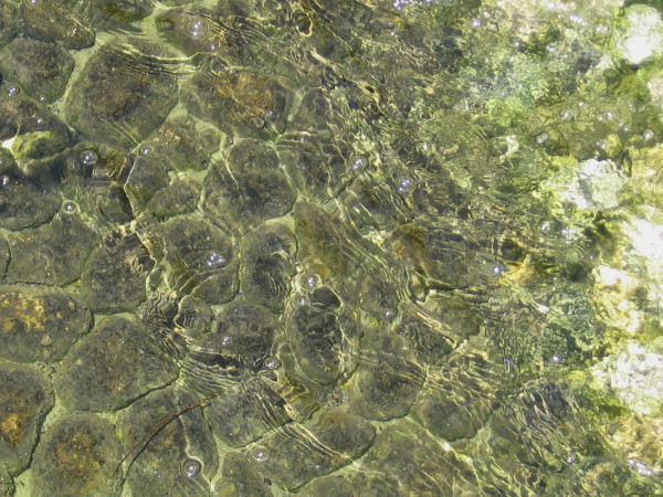 Looking down through magical, glistening, jewel-like water.