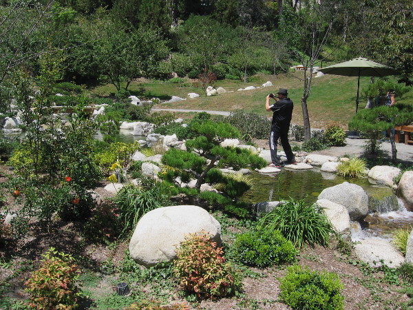 Another photographer was recording the infinite natural beauty that anyone can plainly see at the Japanese Friendship Garden.