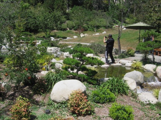 Another photographer was recording the infinite natural beauty that anyone can plainly see at the Japanese Friendship Garden.