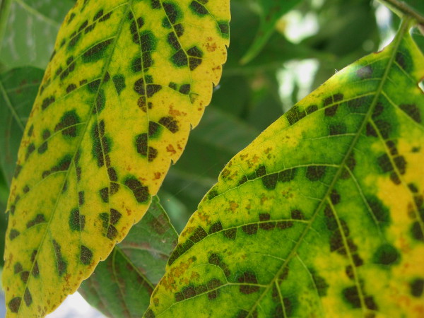 If one small place can contain such abundant wonder, imagine what the vast universe holds.