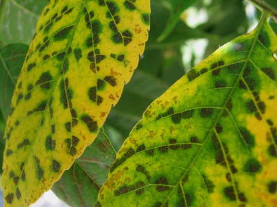 If one small place can contain such abundant wonder, imagine what the vast universe holds.