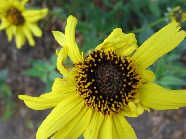 Every moment in life is beautiful. Simply see it.