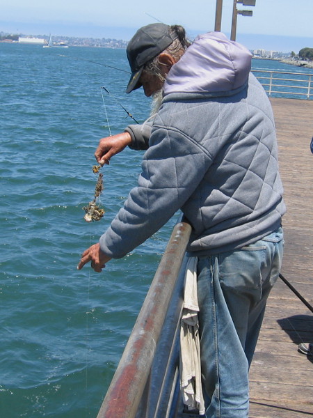 This friendly pier regular drags the bottom of the bay hoping to snag lost fishing poles and other sunken treasure!