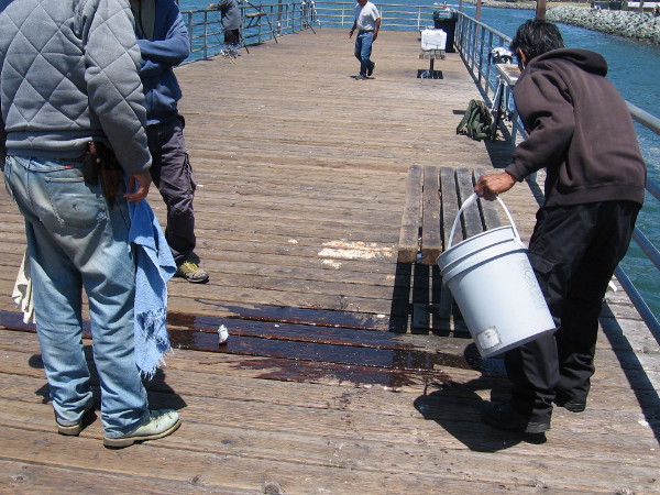 Someone caught a small mackerel, which flops around on the wooden pier.