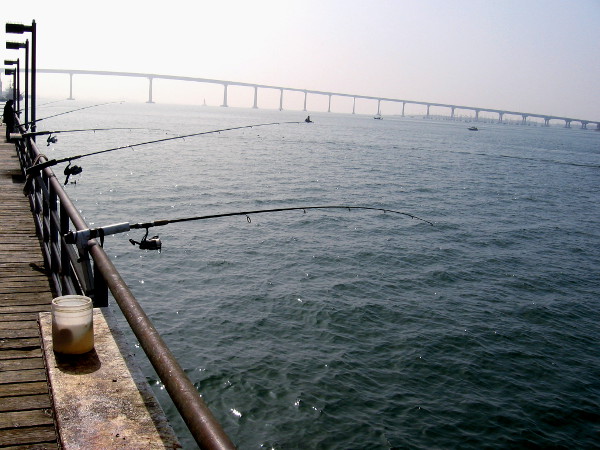 Fishing poles in a line on a hazy day. Across the gentle water to the south stretches the San Diego–Coronado Bridge.