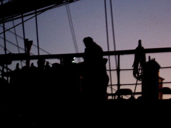 It was the whiteness of the whale that above all things appalled me.