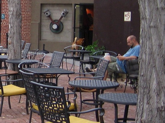 One guy has most of this quiet patio to himself as he enjoys a morning read and coffee. A hungry dog peers into the doorway.