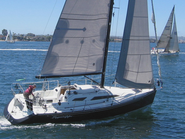Sailboats fly before the wind on blue San Diego Bay.