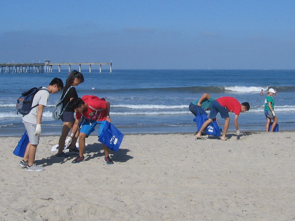 Volunteers remove litter from beautiful Ocean Beach during Coastal Cleanup Day.