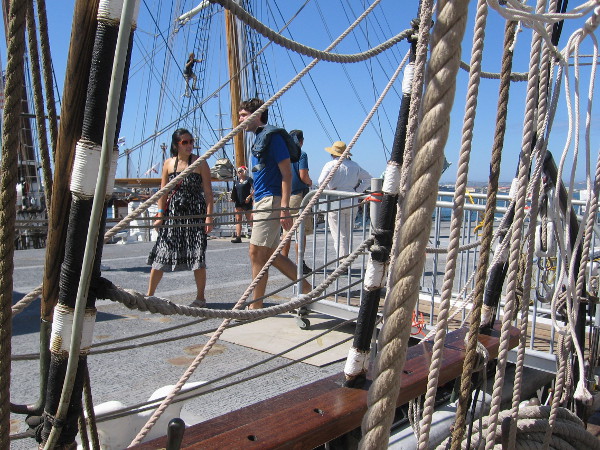 Festival of Sail visitors check out many cool sights! I see someone climbing the Irving Johnson's shrouds!