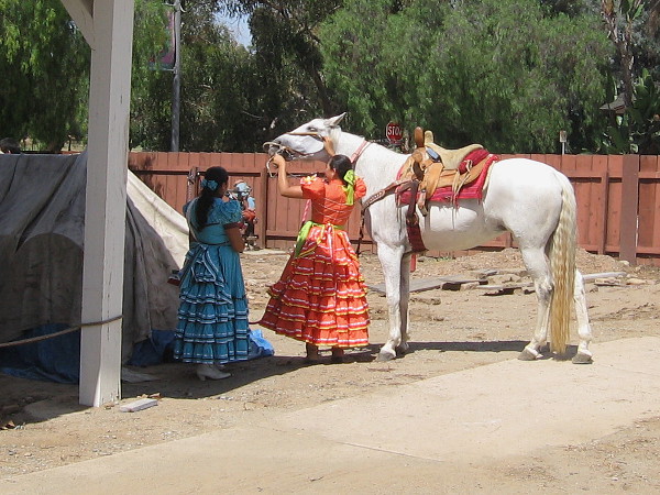 One rider prepares her horse for a sidesaddle riding demonstration in the afternoon.