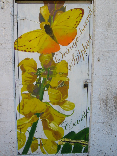 Painted mural in Balboa Park's Zoro Butterfly Garden shows Orange-barred Sulphur and Cassia.