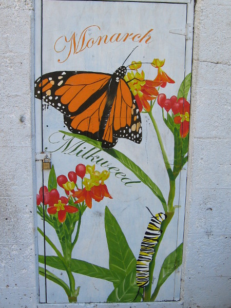 A third section shows that Monarch butterflies are attracted to Milkweed.