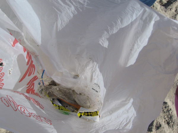 Someone was nice enough to let me photograph their trash! This is what they'd found so far.