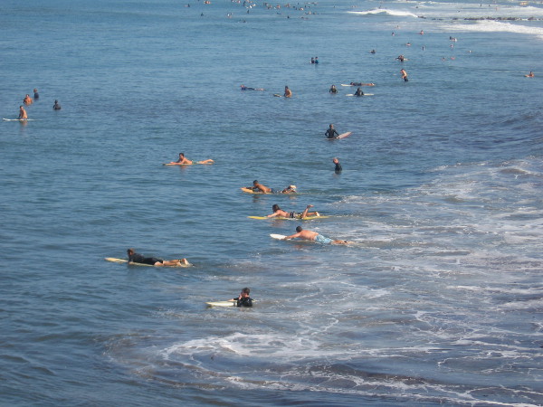 Loads of surfers are out on the Pacific Ocean on this perfect late summer day. The water is warm and the waves have nice form.
