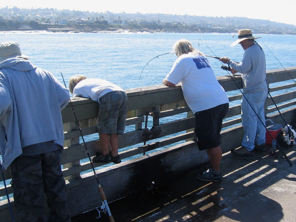 Someone's got something big on their line! A kid leans way over the rail to see!