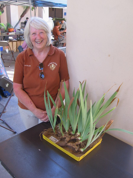 This is a four year clump. One can separate root clumps to create multiple individual plants!