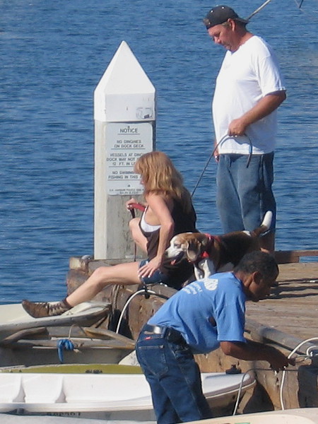 People and dog climb into a small dinghy from floating dock.