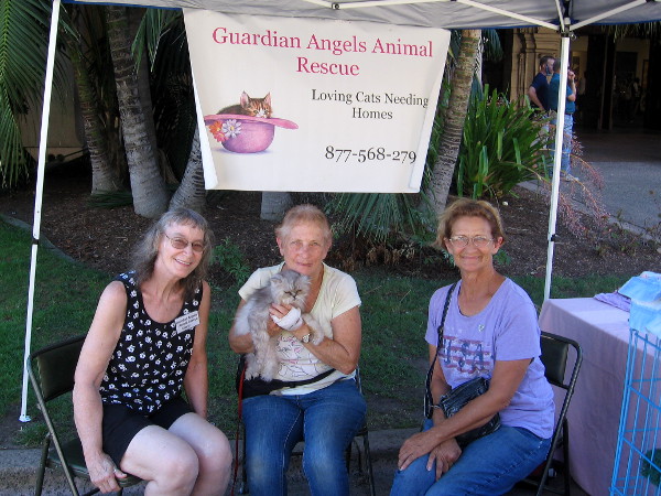These super nice ladies are the Guardian Angels Animal Rescue, helping loving cats find new homes.