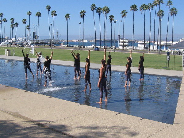 A beautiful venue for a dance. Palm trees along the Embarcadero and San Diego Bay provide a perfect stage.