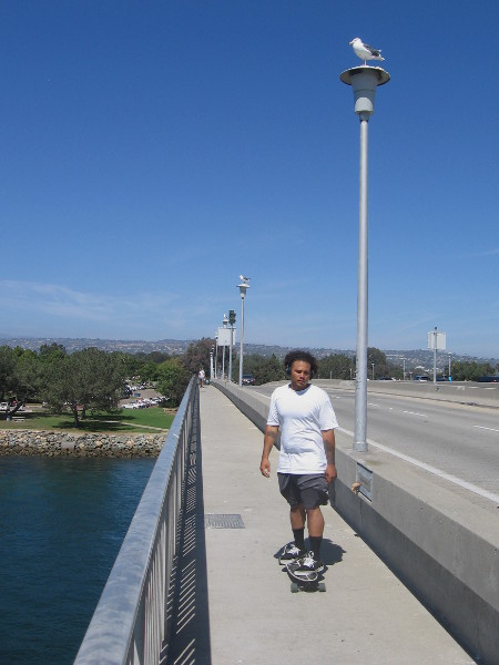 Skateboarding over the Ingraham Street bridge between Vacation Isle and Dana Landing. A seagull on every lamp post!