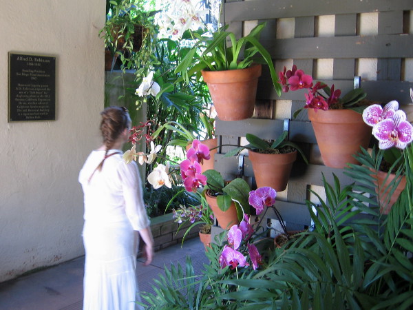 A lady glides into heaven on Earth.