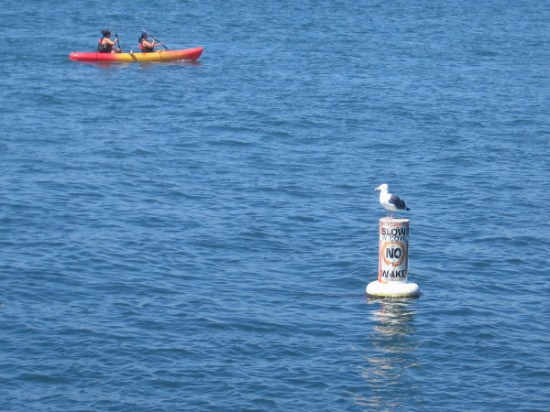 Broad blue water and folks recreating on Mission Bay. Every type of small boat you can imagine can be spotted on any given day.