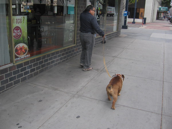 A walk down a city sidewalk.