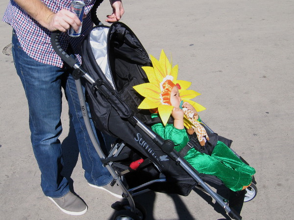 Everything seemed peaceful and normal. A baby stroller headed down El Prado, carrying a sunflower.