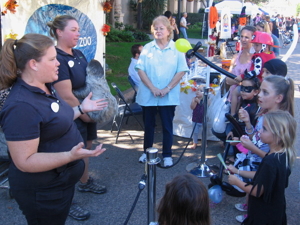 The San Diego Zoo was showing a two-toed sloth to costumed kids eating candy for Halloween.
