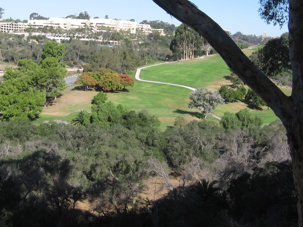 View of the Bennington Memorial Oak Grove from Golden Hill Park, located near the southeast corner of Balboa Park. The Balboa Park Golf Club and Naval Medical Center San Diego are also visible.