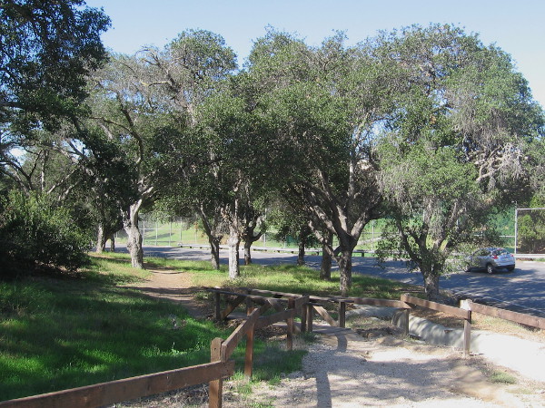Wooden footbridge along 26th Street leads to a little-used trail through USS Bennington Memorial Oak Grove in Balboa Park.
