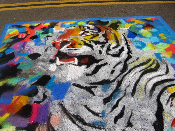 Team Noni. A very colorful tiger comes alive on the street! More zoo chalk art!