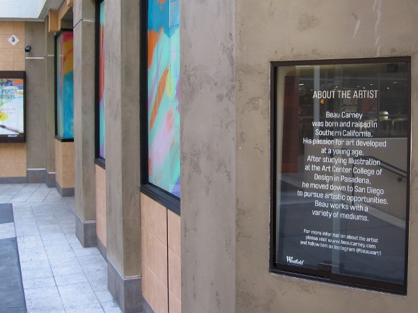 The San Diego artist Beau Carney was born and raised in Southern California. He works with a variety of mediums.