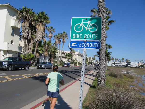 Ecoroute Bikeway and sidewalk along Seacoast Drive in Imperial Beach offers views of the north section of 2,500 acre Tijuana River Estuary.