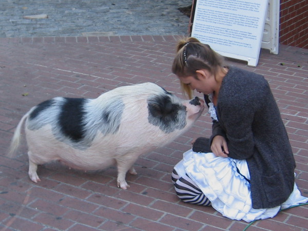 Lady promoting San Diego's upcoming Fall Back Festival goes nose to nose with a friendly hog.