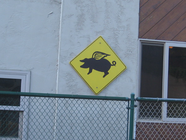 Caution sign warning of flying pigs hangs on rear wall of Kansas City Barbeque.