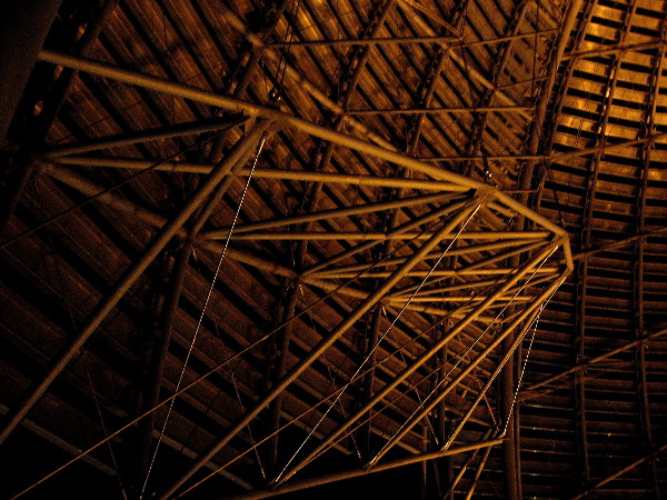 Inside a glowing steel lattice. The new library's dome in the past couple years has become a distinctive feature of San Diego's skyline.