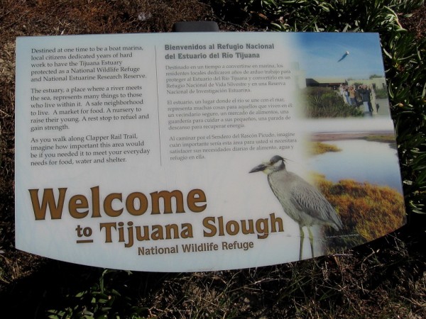 Once a dump, and destined to be a boat marina, local citizens fought to have the Tijuana Estuary protected as a National Wildlife Refuge and National Estuarine Research Reserve.