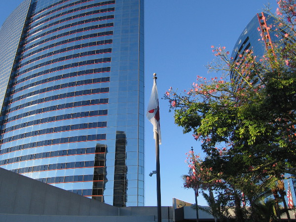 We've crossed Harbor Drive and are walking on the driveway, carefully watching for cars and buses.