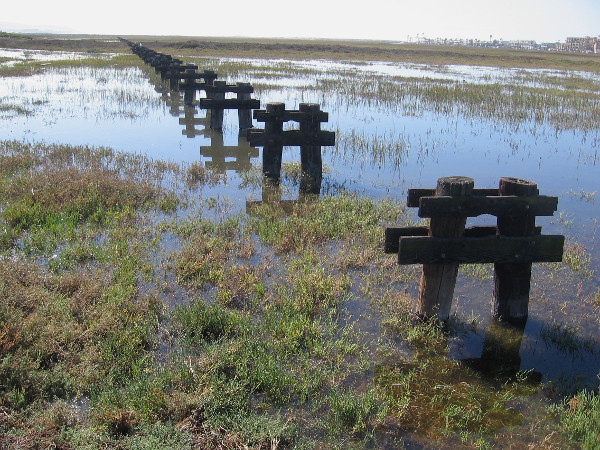 I was told these old wooden pilings used to support a storm drain which ran out to the ocean.