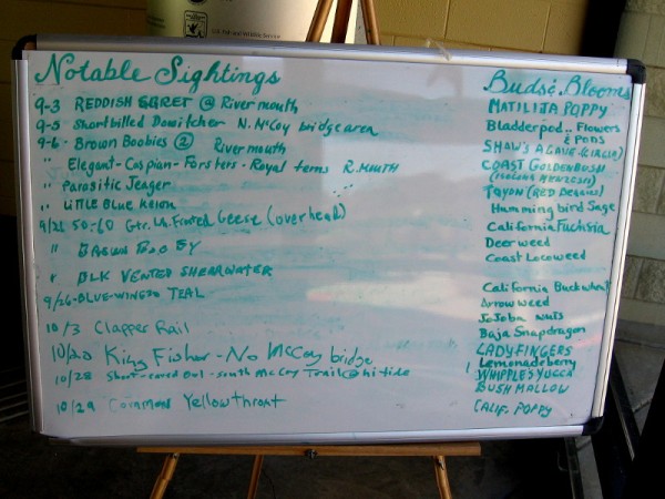 Visitors can jot notable sighting of birds on a board inside the Visitor Center. Buds and blooms are also listed.