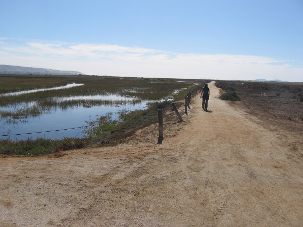 Hiking south down the North McCoy Trail in the Tijuana Estuary. Rising on the left horizon is Mexico. On the right horizon are the Coronado Islands in the Pacific Ocean.