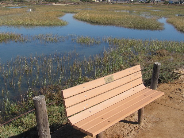 A quiet bench on the North McCoy Trail invites walkers to relax and take in the sunshine and surrounding tranquility.