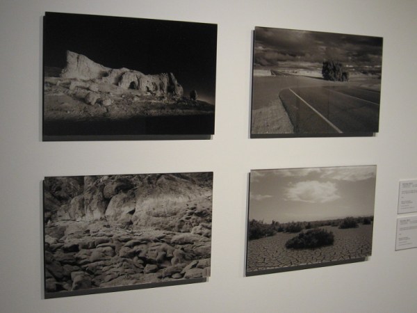 Four pigment ink photographs of desert environment by Michael Feld record beauty and natural history.